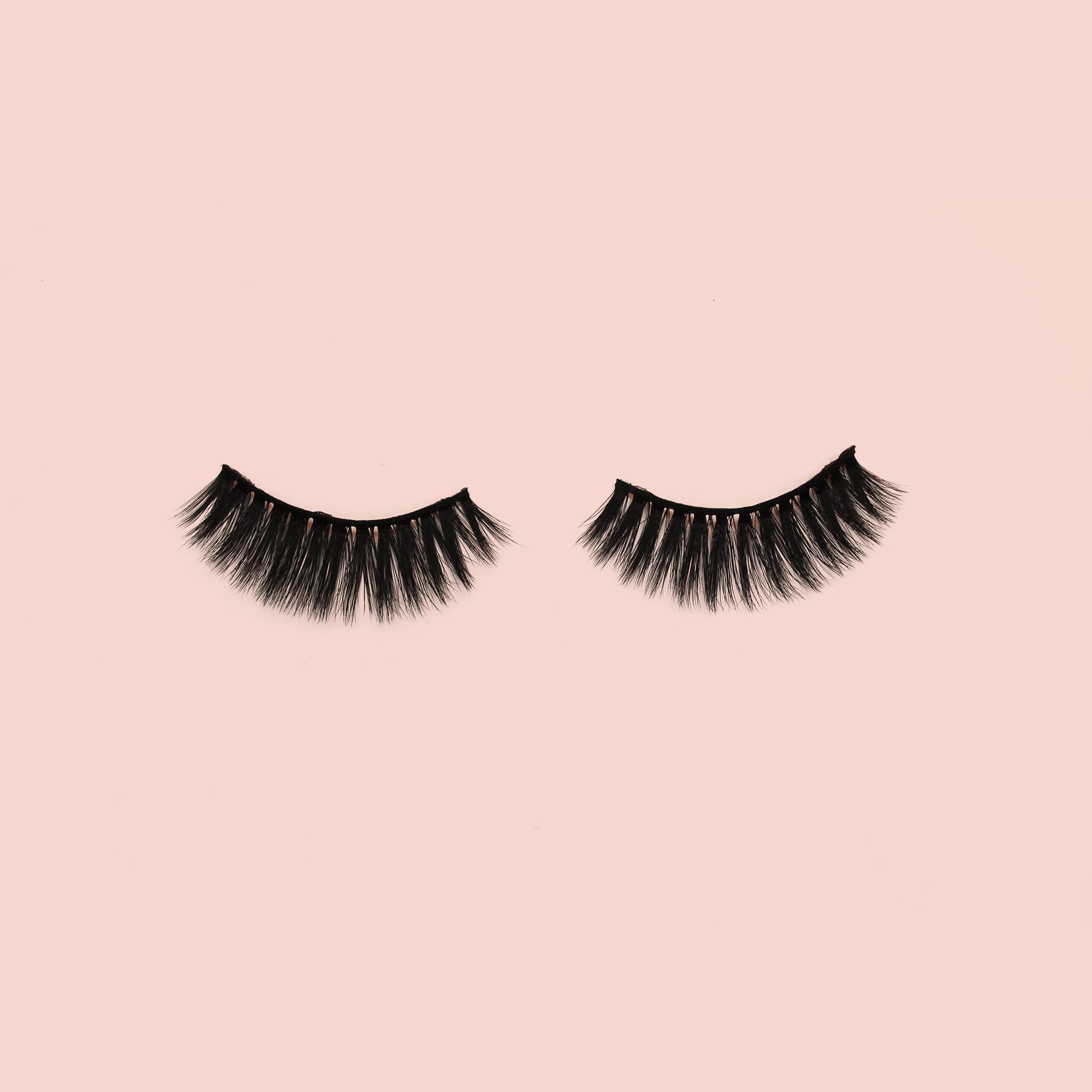 Saucy Lashes